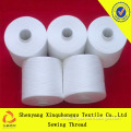 T20 100 Yizheng polyester single yarn